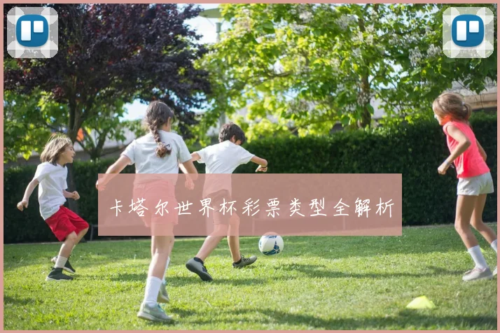 卡塔尔世界杯彩票类型全解析