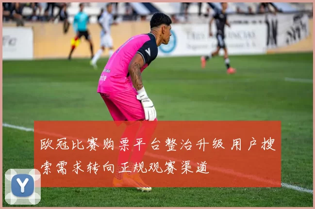 欧冠比赛购票平台整治升级 用户搜索需求转向正规观赛渠道