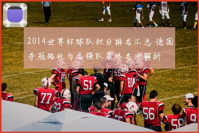 2014世界杯球队积分排名汇总 德国夺冠路径与各强队最终名次解析
