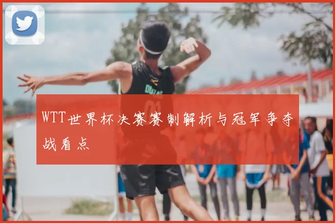 WTT世界杯决赛赛制解析与冠军争夺战看点
